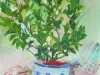 paintings11